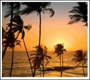 Goa Tour Packages By ZENITH LEISURE HOLIDAYS LIMITED