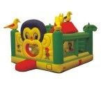 Inflatable Bounce/Castle/House