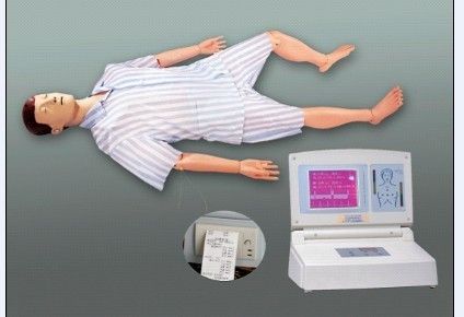 Multifunctional Human Analogue For First-Aid Training