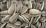 Sunflower Seeds