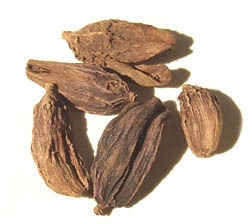 Black Cardamom Spices