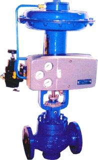 Single Seated Globe Valves