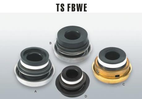 TS WE Mechanical Seals
