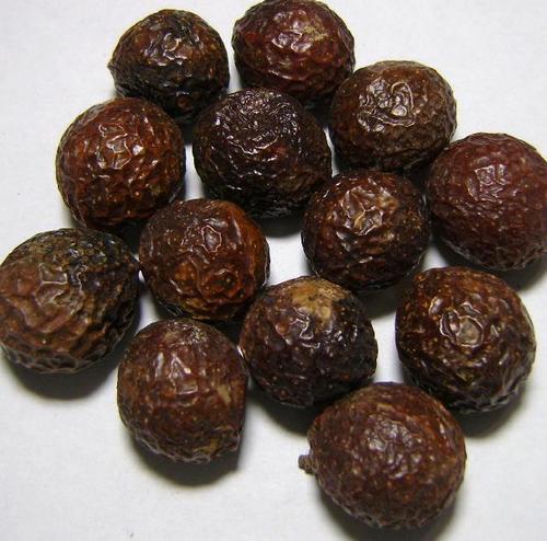 Soap Nuts