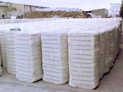 Top Quality Cotton Bales