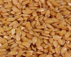 Flax Seeds In Tamil Name Flax Seeds At Best Price In Chennai Tamil Nadu Saispurthy