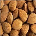 American Type Almond