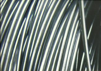 Wire Rod Coil