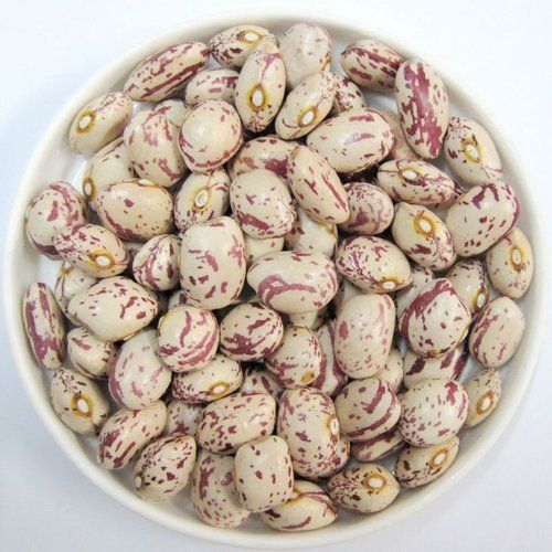 Light Red Speckled Kidney Bean