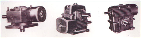 Worm Reduction Gear