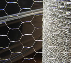 Hexagonal Wire Netting 