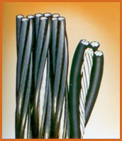 Aerial Bunched Cables By Power Plus Cable Co. L.L.C.
