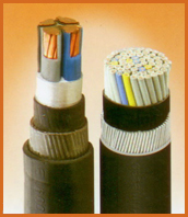 LV Cables By Power Plus Cable Co. L.L.C.