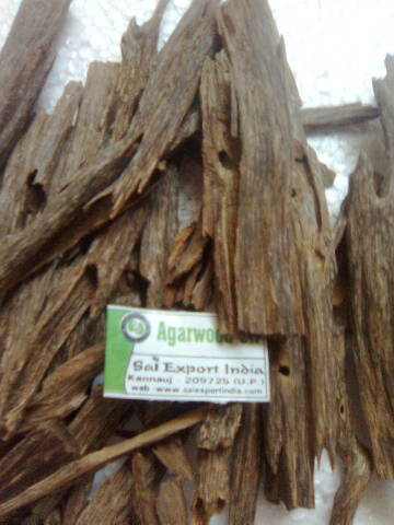 Agarwood Chips/ Oud Chips