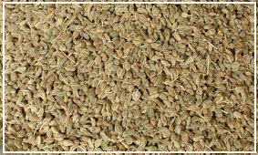 Carom Seed