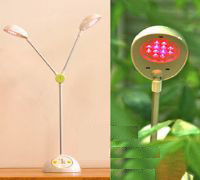 LED Grow Lights