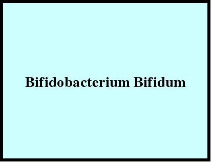 Bifidobacterium Bifidum