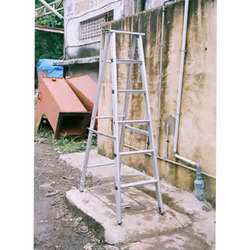 Folding Ladder