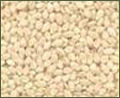 Sundry Hulled Sesame Seeds