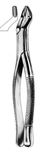 American Pattern Standard Extracting Forceps