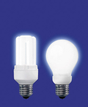 cfl bulbs