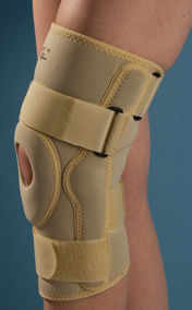 Hinged Knee Support