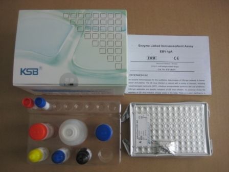 EBV-IgA ELISA Kit