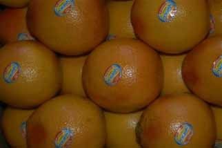 Fruits Labels Application: Industrial Product