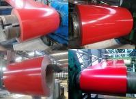 PPG (Color Coated Galvanized Steel Coil)