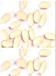 Blanched - Groundnuts