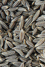 Cumin Seeds