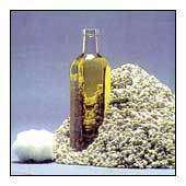 Cotton Seed Oil