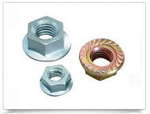 Flange Nuts