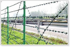 Barbed Wire