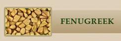 Fenugreek