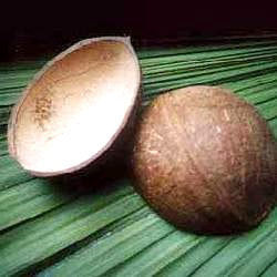 Coconut Shell Ice Cream Cups