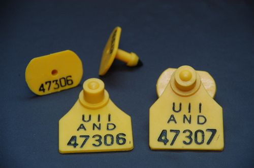 Customized Ear Tag For Cattle And Sheep