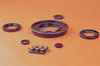 Oil Seals