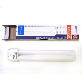 Osram Dulux L Blue Lamp