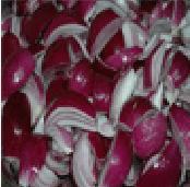 IQF Red Onion