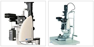 Endothelium Specular Microscopes