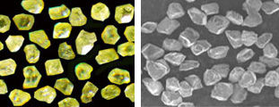 Synthetic Diamond Powder