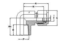 Female Elbows