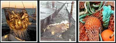 Fishing Nets