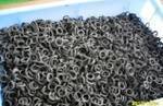 Neoprene Foam Rubber Ring Gasket