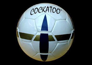 Pro-Match Soccer Ball