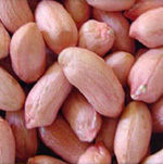 Groundnut Kernels