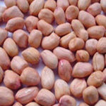 Hps Groundnut Kernels