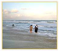 Beach Tours