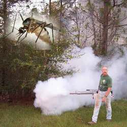 Fogging For Mosquito Controls